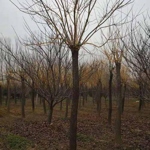 戳我试试